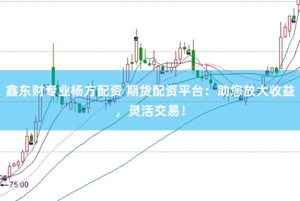鑫东财专业杨方配资 期货配资平台：助您放大收益，灵活交易！