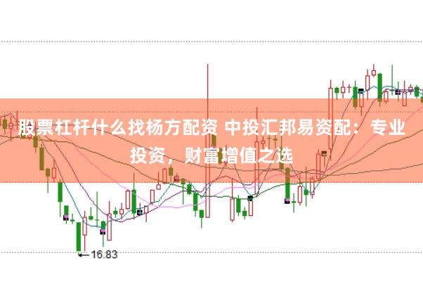 股票杠杆什么找杨方配资 中投汇邦易资配：专业投资，财富增值之选