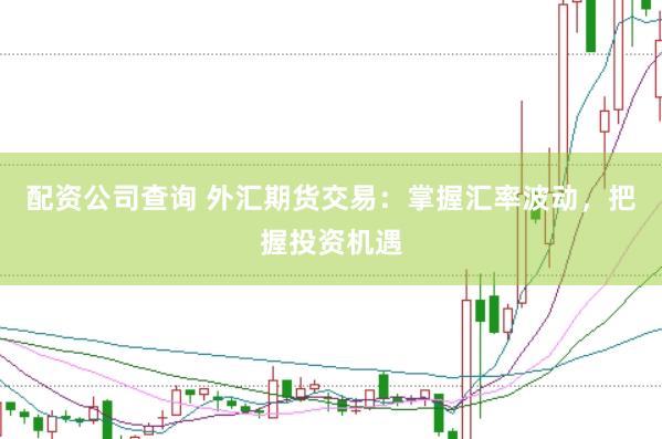 配资公司查询 外汇期货交易：掌握汇率波动，把握投资机遇
