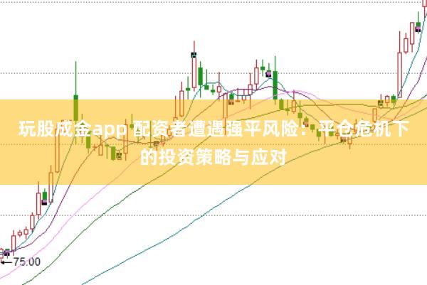 玩股成金app 配资者遭遇强平风险：平仓危机下的投资策略与应对