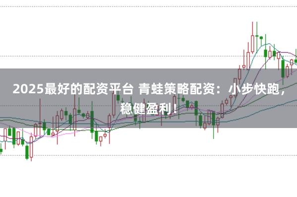 2025最好的配资平台 青蛙策略配资：小步快跑，稳健盈利！