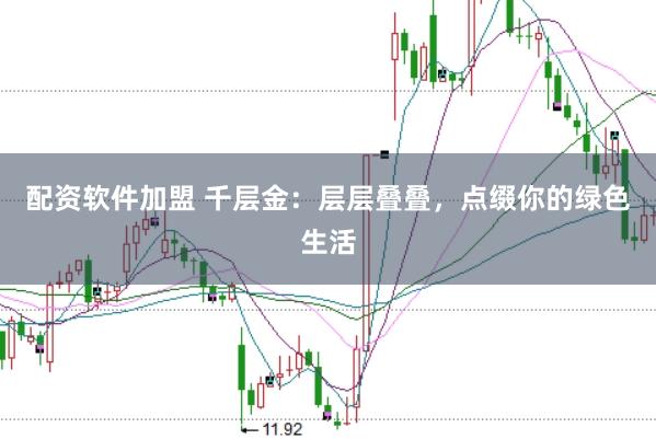 配资软件加盟 千层金：层层叠叠，点缀你的绿色生活