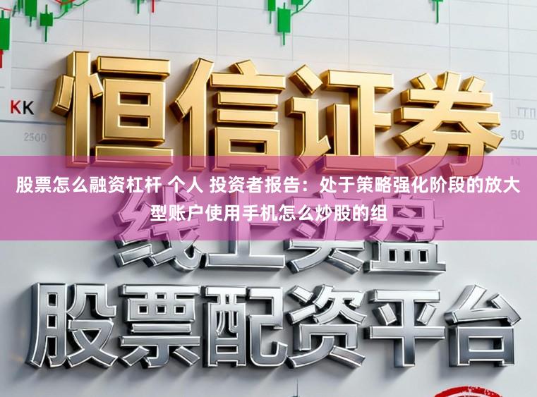 股票怎么融资杠杆 个人 投资者报告：处于策略强化阶段的放大型账户使用手机怎么炒股的组
