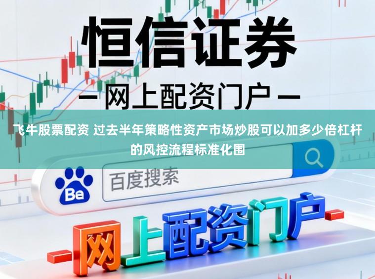 飞牛股票配资 过去半年策略性资产市场炒股可以加多少倍杠杆的风控流程标准化围