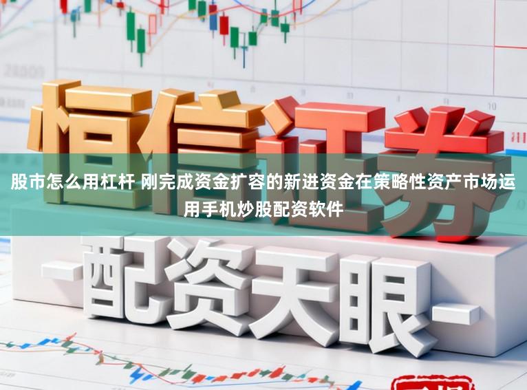 股市怎么用杠杆 刚完成资金扩容的新进资金在策略性资产市场运用手机炒股配资软件