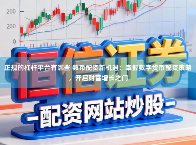 正规的杠杆平台有哪些 数币配资新机遇：掌握数字货币配资策略，开启财富增长之门